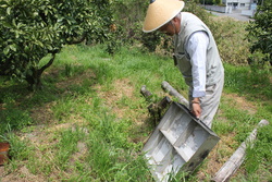 自家製塩とにがり