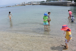 磯遊び　三浦半島 荒崎海岸