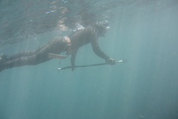 素潜り魚突き・spearfishing