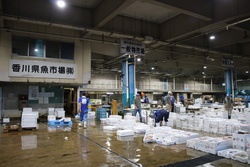 高松市中央卸売場・Takamatsu City prefecture Central Wholesale Market