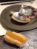 あこやがい・アコヤガイ・阿古屋貝・Pearl Oyster・Pinctada fucata martensii