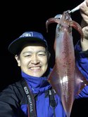 けんさきいか・ケンサキイカ・剣先烏賊・Uroteuthis edulis