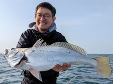 おおにべ・オオニベ・大鮸・Argyrosomus japonicus