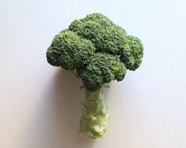 ブロッコリー・broccoli・Brassica oleracea・ミドリハナヤサイ