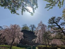 盛岡城跡（もりおかじょうあと）