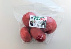 とまと・トマト・Tomato