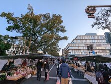 土佐の街路市、やっとコンプリートできました！