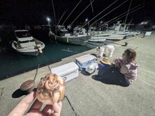 土佐湾でケンサキイカ釣りに挑戦!!