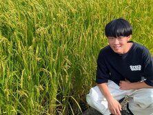 いね・イネ・稲・Oryza sativa
