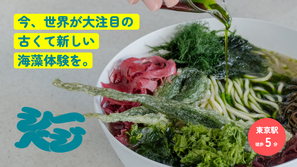 シーベジスタンド（SEAVEGE- STAND）