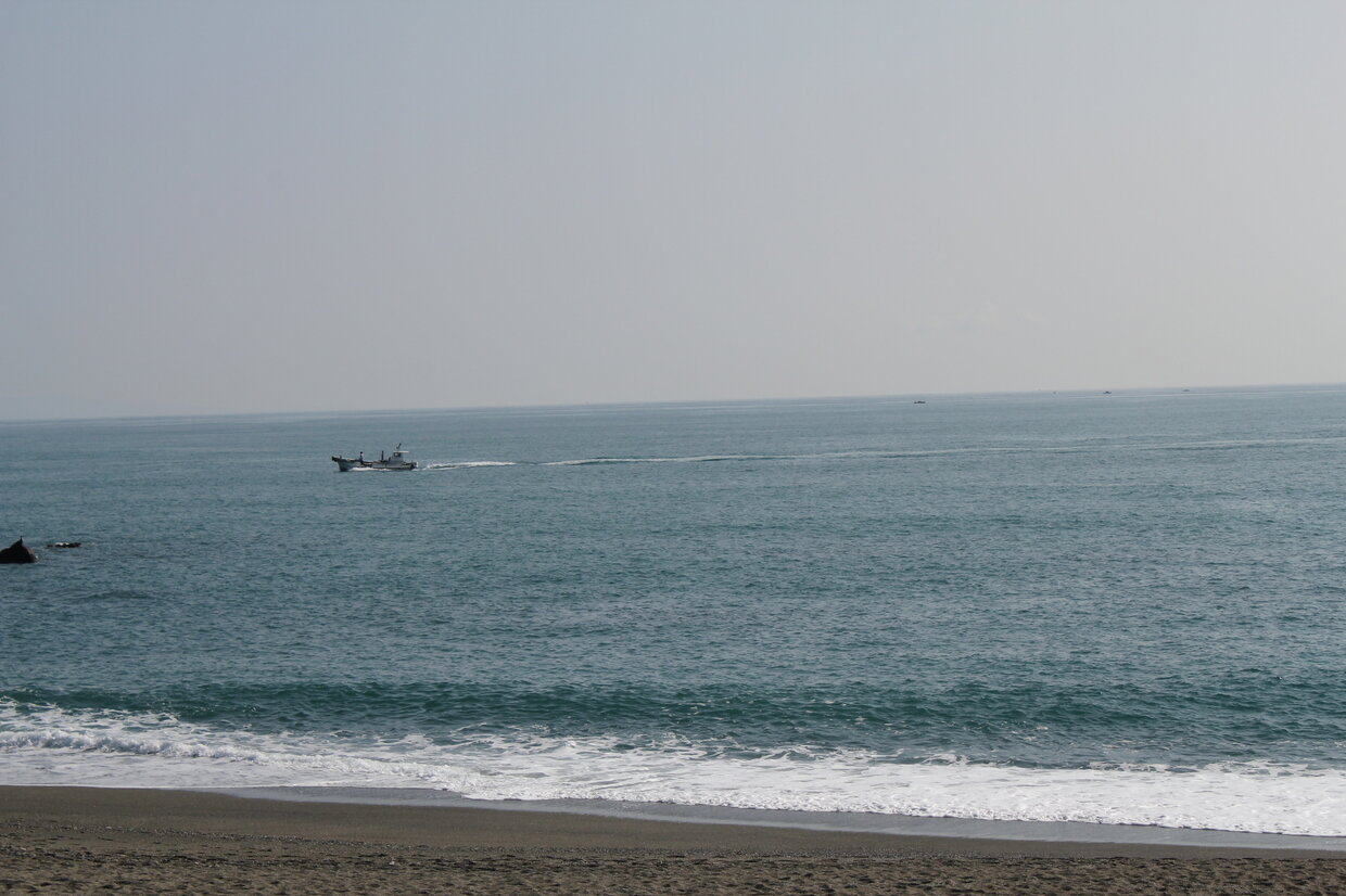 IMG_9648.jpg