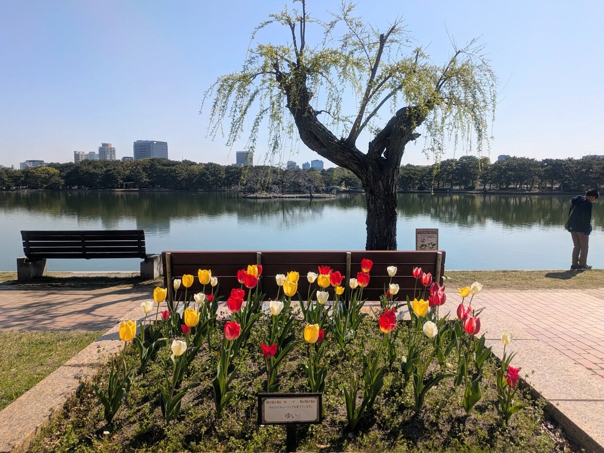 original_77053ab4-ff45-452f-8542-0222c2afd867_PXL_20250407_004641095.jpg