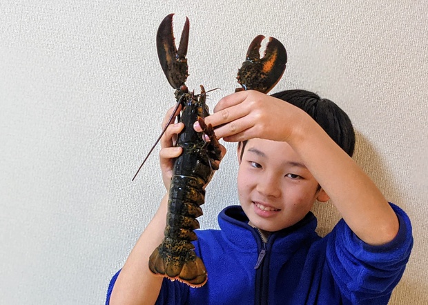 オマールエビ Homarus Americanus ロブスター Lobster ブログ 酢飯屋 文京区水道 江戸川橋にある寿司 カフェ ギャラリーの複合店