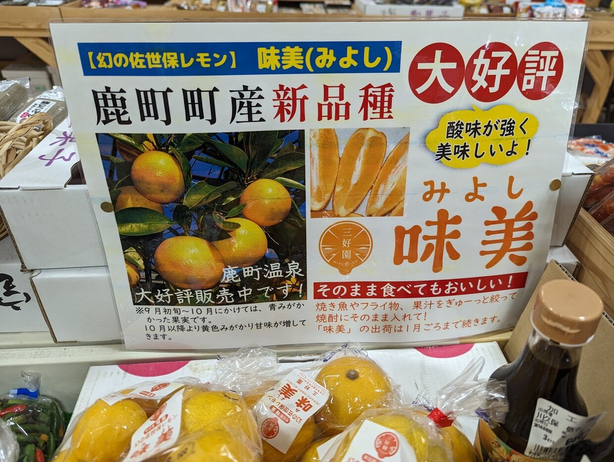 PXL_20221227_093811463.jpg