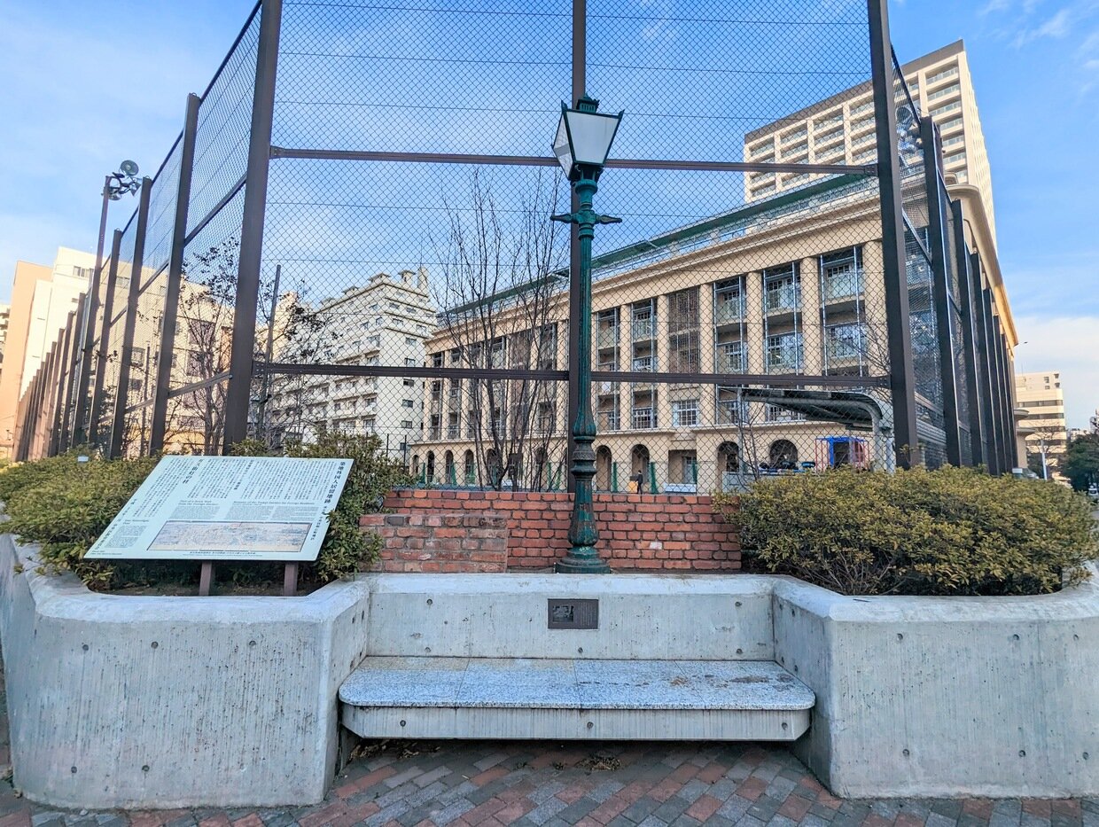 PXL_20230206_234135225.jpg
