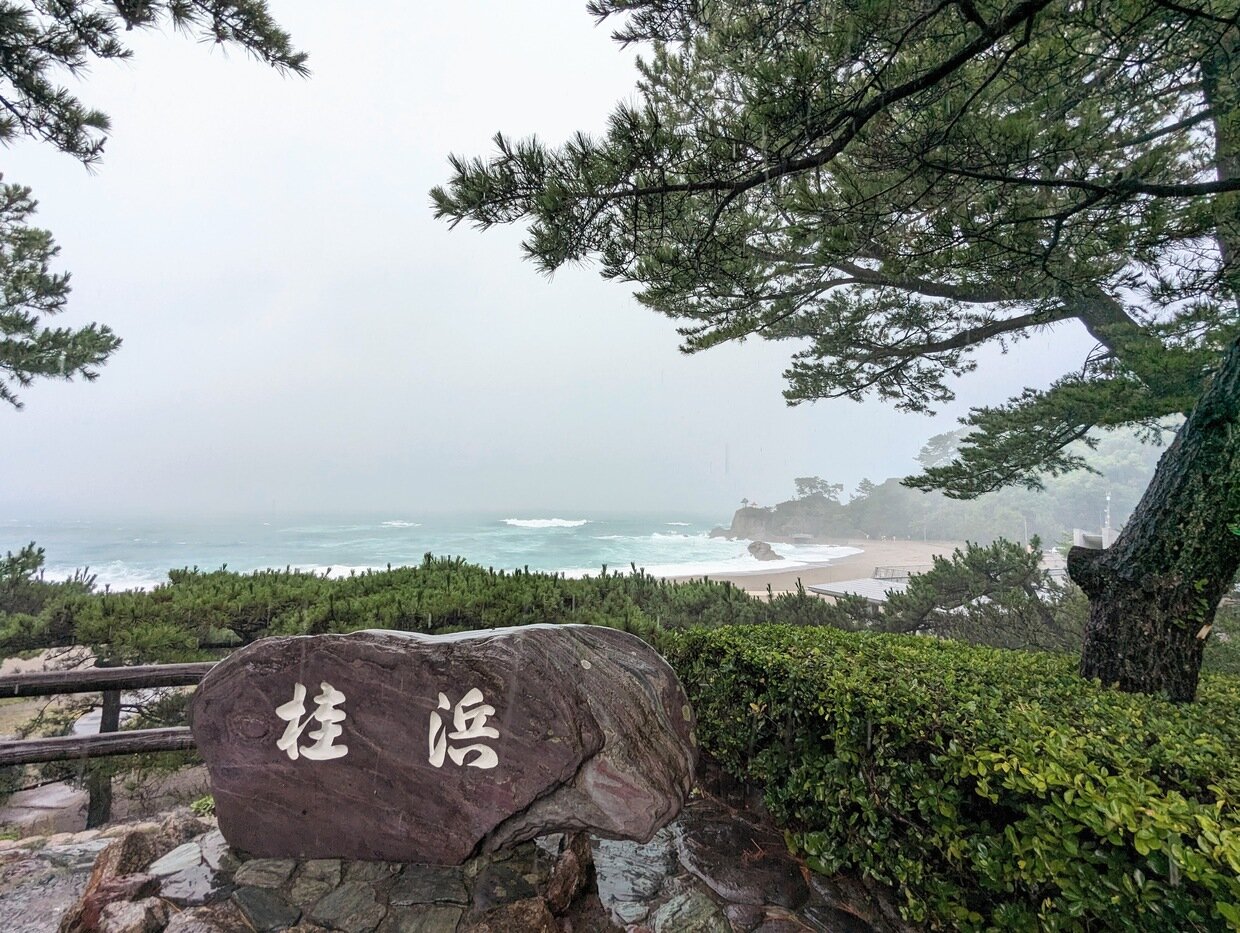 PXL_20230808_010209088.jpg