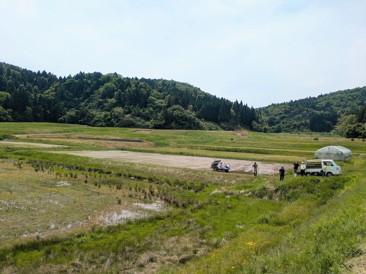 PXL_20250515_013913215.jpg