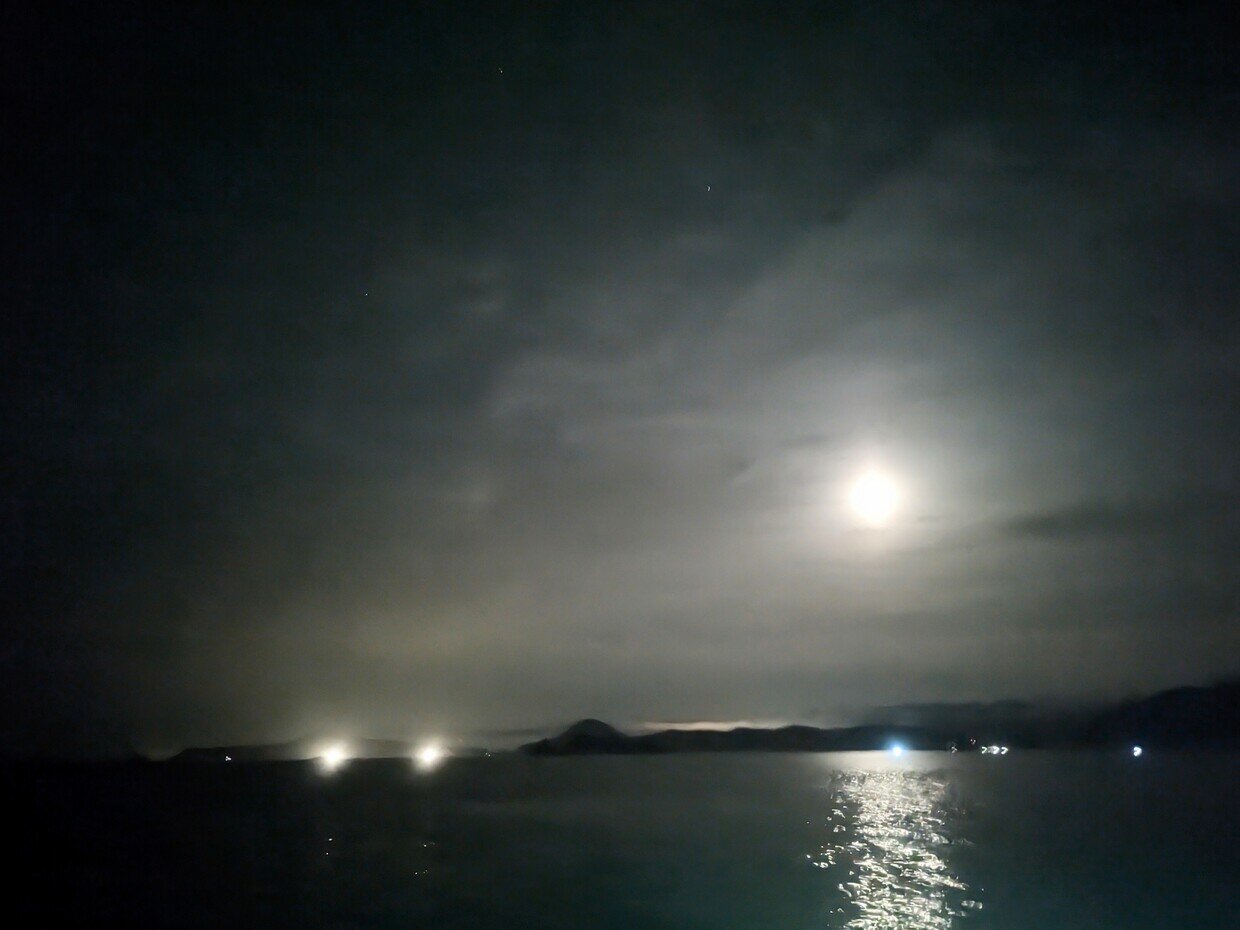PXL_20250618_163440180.NIGHT~2.jpg