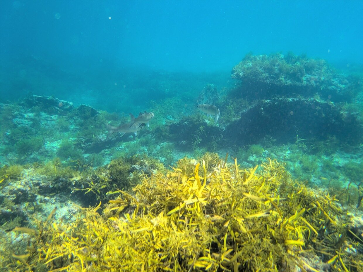PXL_20250728_010210916.jpg