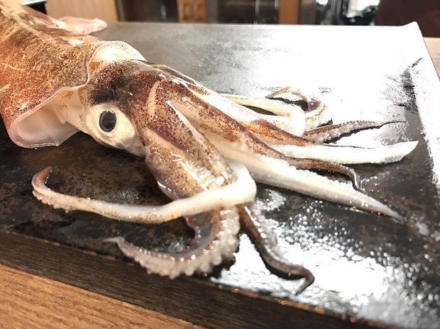 やりいか ヤリイカ 槍烏賊 ブログ 酢飯屋 文京区水道 江戸川橋にある寿司 カフェ ギャラリーの複合店