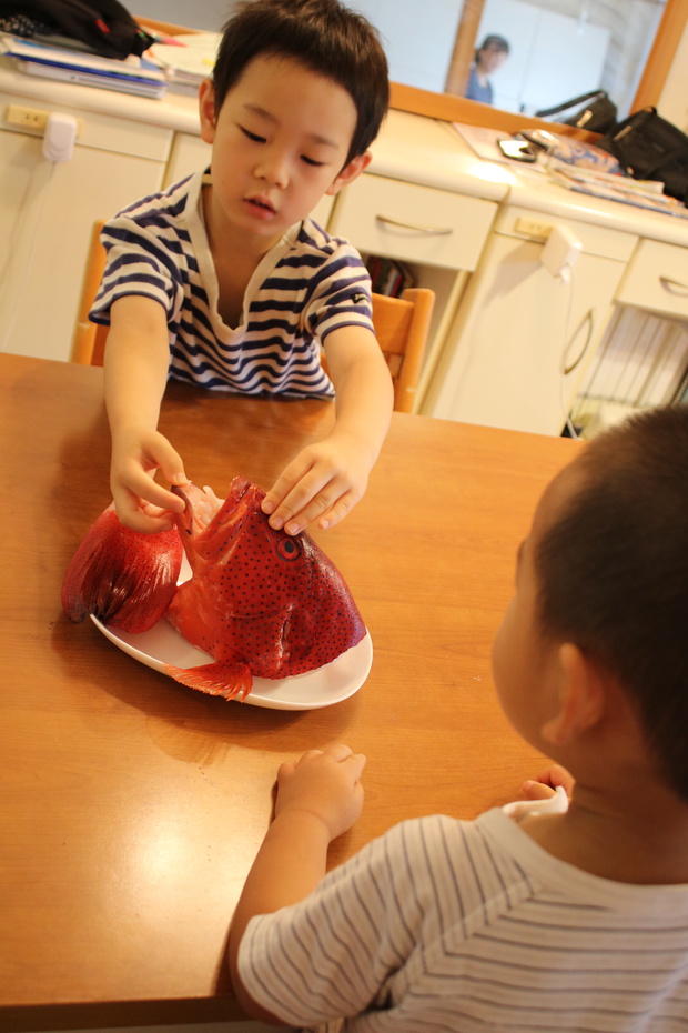 sujiIMG_4592.jpg