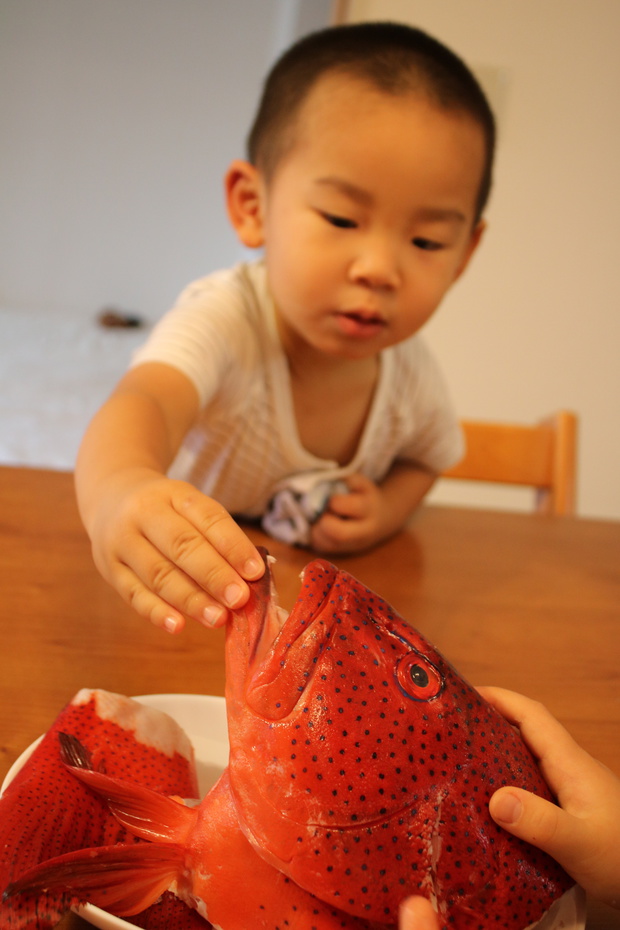 sujiIMG_4596.jpg