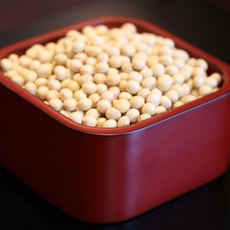 無農薬・固定種大豆(3kg)