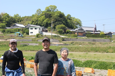 坪井農園の腐らない新玉ねぎ