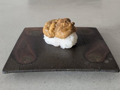 【予約限定】五島のガンガゼアオリイカランチ