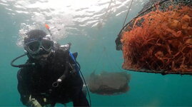 【一般社団法人グッドシー】海藻の海面栽培による生態系への定量調査報告会「GOOD SEA DAY」開催します（東京）